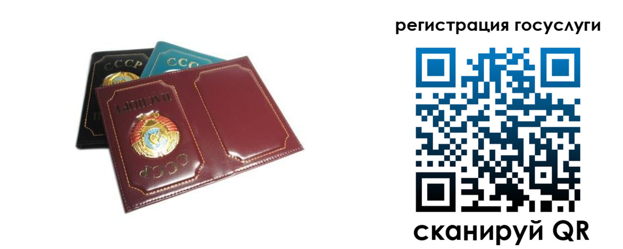 прописка в квартире в Стародубе