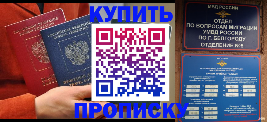 регистрация с договорными гарантиями в Стародубе